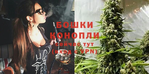 молекула духа Бугульма